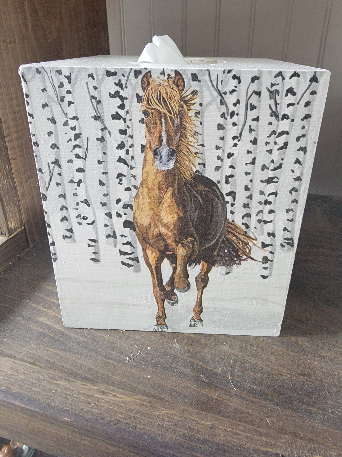 Horse in Woods Tissue box