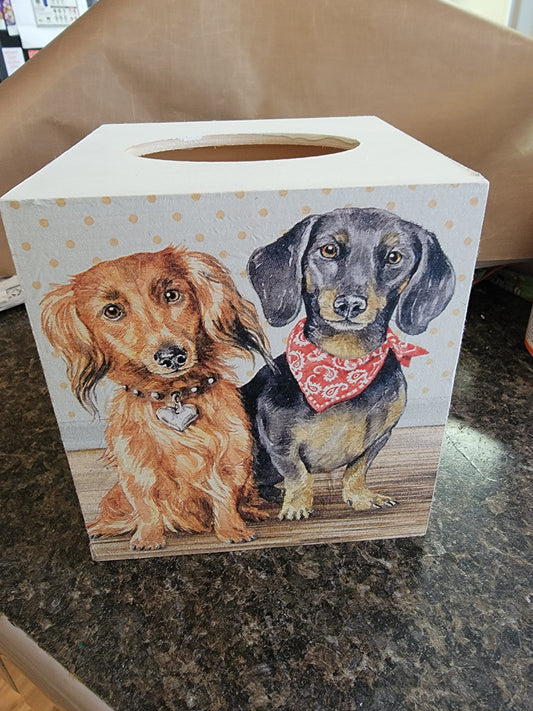 Dachshund tissue box